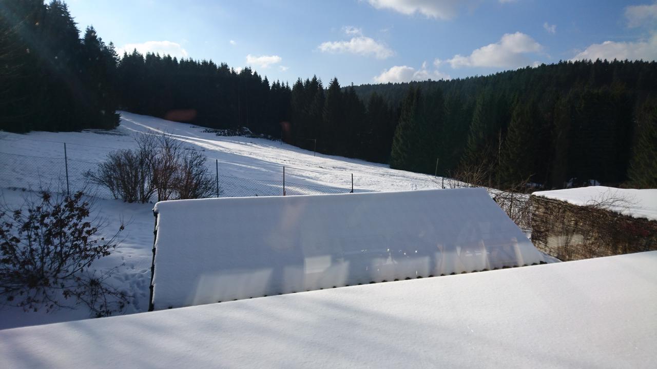 Quellenhof Altenau Altenau  Exteriér fotografie